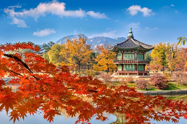 Study Abroad in South Korea